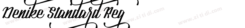 Denike Standard Reg字体转换